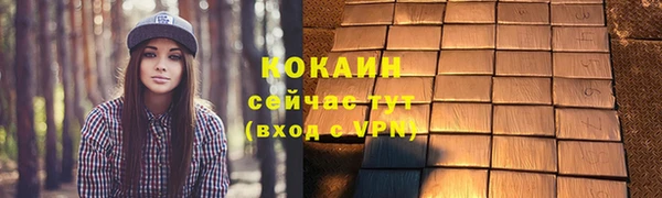 2c-b Бородино