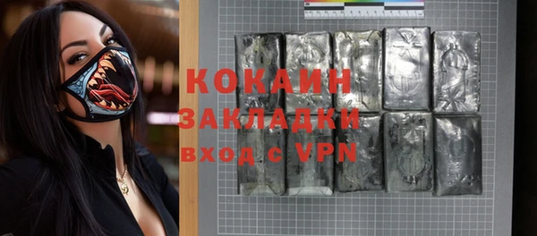 шишки Верея