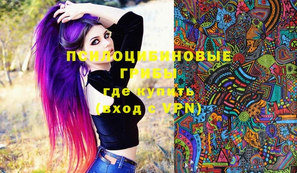 шишки Верея