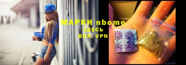 шишки Верея