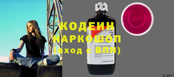 2c-b Бородино