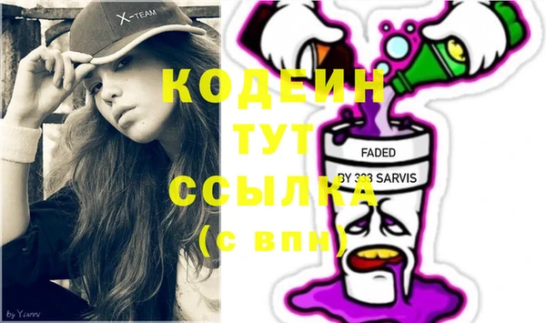 шишки Верея