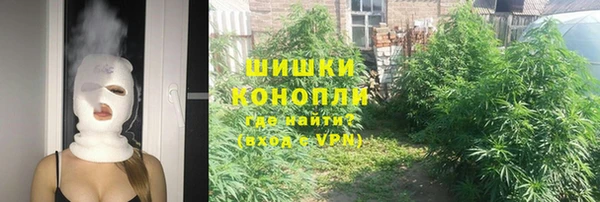 2c-b Бородино