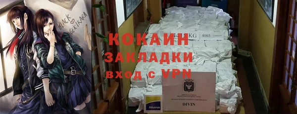 гидра Бронницы