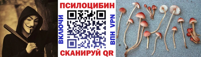 где можно купить наркотик Когалым Галлюциногенные грибы Psilocybine cubensis